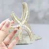 Pinza para el pelo de estrella de mar de perla de diamante de alta calidad estilo coreano moda simple pinza para el pelo personalidad temperamento nicho accesorios para el pelo recogido para mujeres