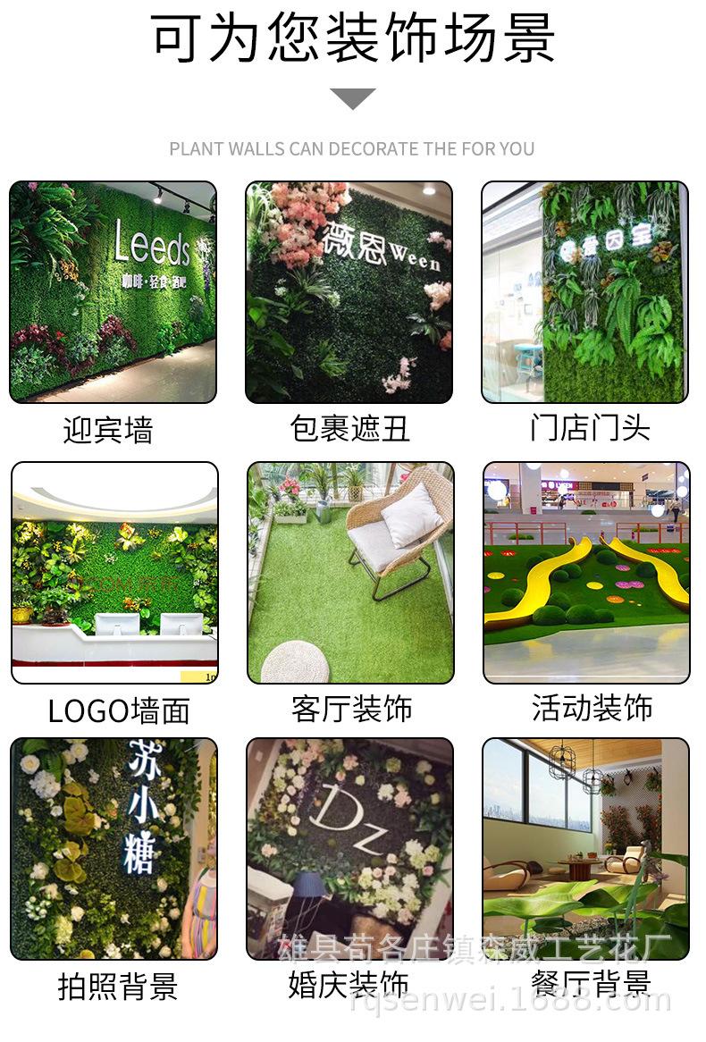 尤加利_10.jpg