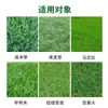 Ping'An Xingnuan Remove Cavalo, Burro, Tendão de Boi, Beldroega, Água, Amendoim, Erva Daninha, Grama Bermuda das Filipinas Herbicida para Gramado de Estação Quente