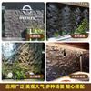 Página de Piel de Piedra PU Roca Nuevo Ladrillo Cultural Natural Piedra Artificial Ligera Piedra Cultural Fondo de Pared Exterior de Casa