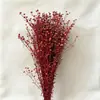 Fabricante Yongsheng Grãos de Acácia Absorventes de Cor, Grãos da Fortuna, Sementes de Gergelim, Materiais para DIY, Tampa de Vidro, Materiais para Atacado