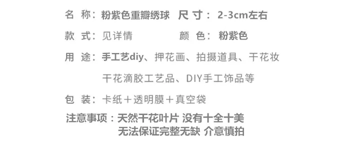 粉紫色重瓣绣球.png