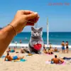 Colgante para Coche de Gato con Forma de Corazón de Avión de Acrílico Nuevo Transfronterizo Colgante de Decoración para el Hogar