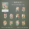 Coleção de plantas quentes, série de molho de tomate, meninas, pacote de adesivos de plantas tropicais, 6 a 20 em material de base de colagem