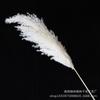 Buquê de flores secas de junco natural cor primária branqueada pequena palheta grama dos pampas diy flor imortal decoração de casamento grama dos pampas