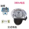 Conjunto de Motor de Bomba de Engranajes Plug-In, Bomba Hidráulica de Motor de Enchufe Directo, Estación de Bomba de Motor de Bomba de Aceite Vertical y Horizontal de 380V
