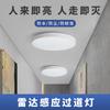 Luminária de Teto Três-à-Prova com Sensor Infravermelho LED com Radar de Presença e Controle de Voz para Corredores, Varandas e Iluminação de Propriedade com Detecção Inteligente