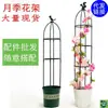 Treliça para Clematis Trepadeira, Suporte para Flores de Rosa, Suporte para Plantas Trepadeiras de Jardinagem, Estrutura de Suporte Trepadeira para Varanda, Suporte de Flores Estilo Europeu