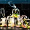 Acuario Pequeño de Plástico Brillante de Moda Portátil para Montaje de Puesto, Acuario para Cría de Tortugas, Acuario de Parque al por Mayor