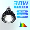 Bombilla Guixiang Foco E27 para Cultivo de Plantas para Uso Doméstico, Adecuada para Agaves Enraizados, Luz LED de Espectro Completo para Crecimiento de Plantas