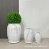 Macetas Creativas y Sencillas con Patrón de Mármol de Óxido de Magnesio para Jardinería Doméstica, Centros Comerciales, Bienes Raíces, Decoración de Plantas Verdes y Mobiliario de Salas de Exhibición