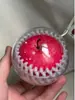 Accesorio de bolso colgante de manzana, llavero lindo de nicho de alta gama para Nochebuena