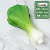 Modelo de vegetal de simulação PU pimenta alface repolho chinês berinjela cebola cogumelo brócolis modelo de adereços decoração de sala