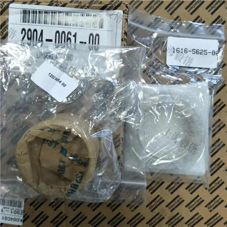 2904006100 骨架密封