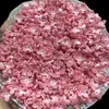 10mm Hortênsia Acrílico Flor de Quatro Pétalas Acessórios para Joias DIY Pente de Cabelo Estilo Antigo Materiais para Penteado Atacado Contas Soltas