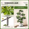 Simulación Planta Verde Pata de Pato Madera Lujo Ligero de Alta Gama Interior Sala de Estar Planta Verde Artificial en Maceta Planta Biónica Adornos Decorativos de Piso
