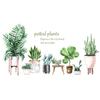 Adesivos de Parede Personalizados Fx-C01 Personalizados com Fotos, Plantas Tropicais Verdes, Cacto Grande em Vaso Suculento Rodapés