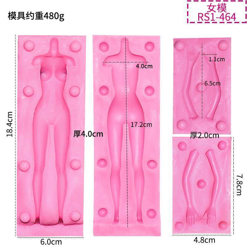 RS1-464 女模