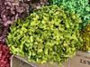 Flor Seca Hortensia Flor Eterna Hortensia Anna Rama Única Absorción de Color Hortensia Anna Flor Eterna Adornos Florales Floricultura Decorativa