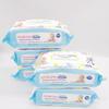 Toallitas sanitarias desechables de limpieza al por mayor de fábrica con tapa bolsa grande toallitas exportación versión en inglés plataforma de comercio electrónico