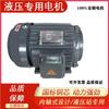 Motor Hidráulico Eixo Interno Plugue Interno Motor Hidráulico 0,75Kw 1,5Kw 2,2Kw 4Kw 5,5Kw