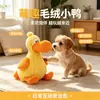 Brinquedo para Cachorro que Faz Barulho, Pássaro Grande e Peitudo Esconde-Comida, Gadget de Autoentretenimento, Moedor de Dentes, Durável, Brinquedo Sonoro que Gasta Energia
