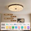 Lámpara de Techo para Dormitorio Estilo Francés Mediados de Siglo Estética Estilo Song Estilo Nanyang Estudio Acogedor Dormitorio Principal Iluminación Zhongshan 263L