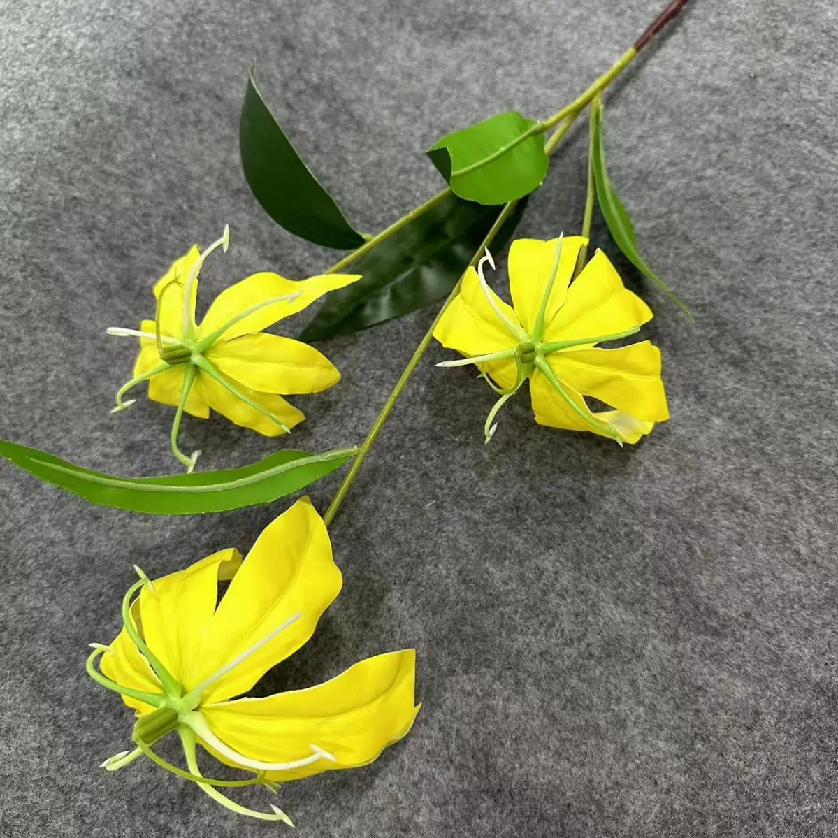 2025-11-20 14:44:42.jpg