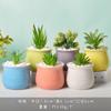 Vaso de flores de cerâmica desenho animado fofo macaroon planta carnuda vaso pequeno Amazon Home Gardening Cactus Pot terno
