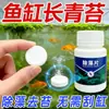 Pastillas para eliminar algas de acuario, pastillas purificadoras de agua, para eliminar algas verdes, algas negras, algas verdeazuladas y algas filamentosas; suministros de limpieza para acuarios; removedor de algas