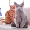 2026 Nuevo Modelo Almohada Realista de Animal Gato, Almohada Novedosa Linda con Forma de Gato, Cojín para Sofá Decoración del Hogar