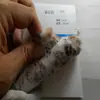 Pelúcia Artificial Alto e Baixo Veludo Mink Simulado Mink Estampado Estampa de Leopardo Arroz Mink Colorido Mink Pele de Leopardo Colorida Brinquedos Artesanato Tecidos