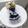 Falda de tarta linda multicapa de encaje de tul fina de verano para gatos y perros, ligera, transpirable, anti-pérdida de pelo, casual