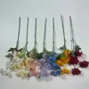 5 Crisantemos Salvajes Pequeños Simulados Navidad Boda Hogar Boda Transfronteriza Exhibición de Pared de Flores Manojos Grandes de Flores Artificiales en Múltiples Colores para Elegir