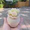 Plantas Pequeñas Suculentas Tejidas a Crochet de Lana Hechas a Mano, Lindos Adornos de Escritorio Simulados de Suculentas Que Nunca Se Marchitarán
