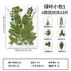 Venta al por mayor de especímenes de plantas de hojas de árbol real, pegatinas para manualidades de hojas de jardín de infantes, repujado de flores secas, materiales de flores secas para DIY