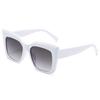 3389 Gafas de sol ojo de gato caja tamaño extragrande hombres y mujeres avanzados Amazon venta al por mayor tendencia de moda Europeo y Americano protección UV