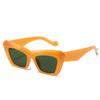 2021 Nuevo estilo de gafas de sol para mujer Moda Internet Celebridad Mismo estilo Gafas de sol de ojo de gato para mujer Gafas de sol de moda para exteriores