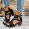 Sandalias de Tacón Grueso Boca de Pez Estilo Europeo Sandalias Versátiles para Mujer 2026 Verano Nuevas Sandalias Casuales de Correa Única con Tacón Alto