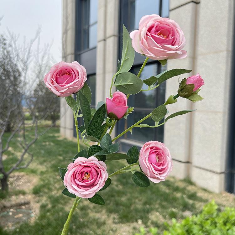 6头花蕊小玫瑰-sxlzjx-玫心粉.JPG