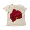 Camiseta básica retro estilo americano con estampado de Bud para mujer, cuello redondo, corte ajustado, adelgazante, combinable con todo, top corto tipo jersey para verano