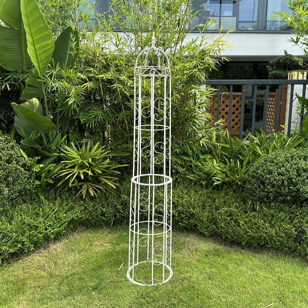 IMG_0694_副本_副本