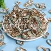 Pingente Concha Caracol Estrela do Mar Borda Dourada Galvanizado DIY Pulseira Colar Acessório de Joalheria Peças Materiais Atacado