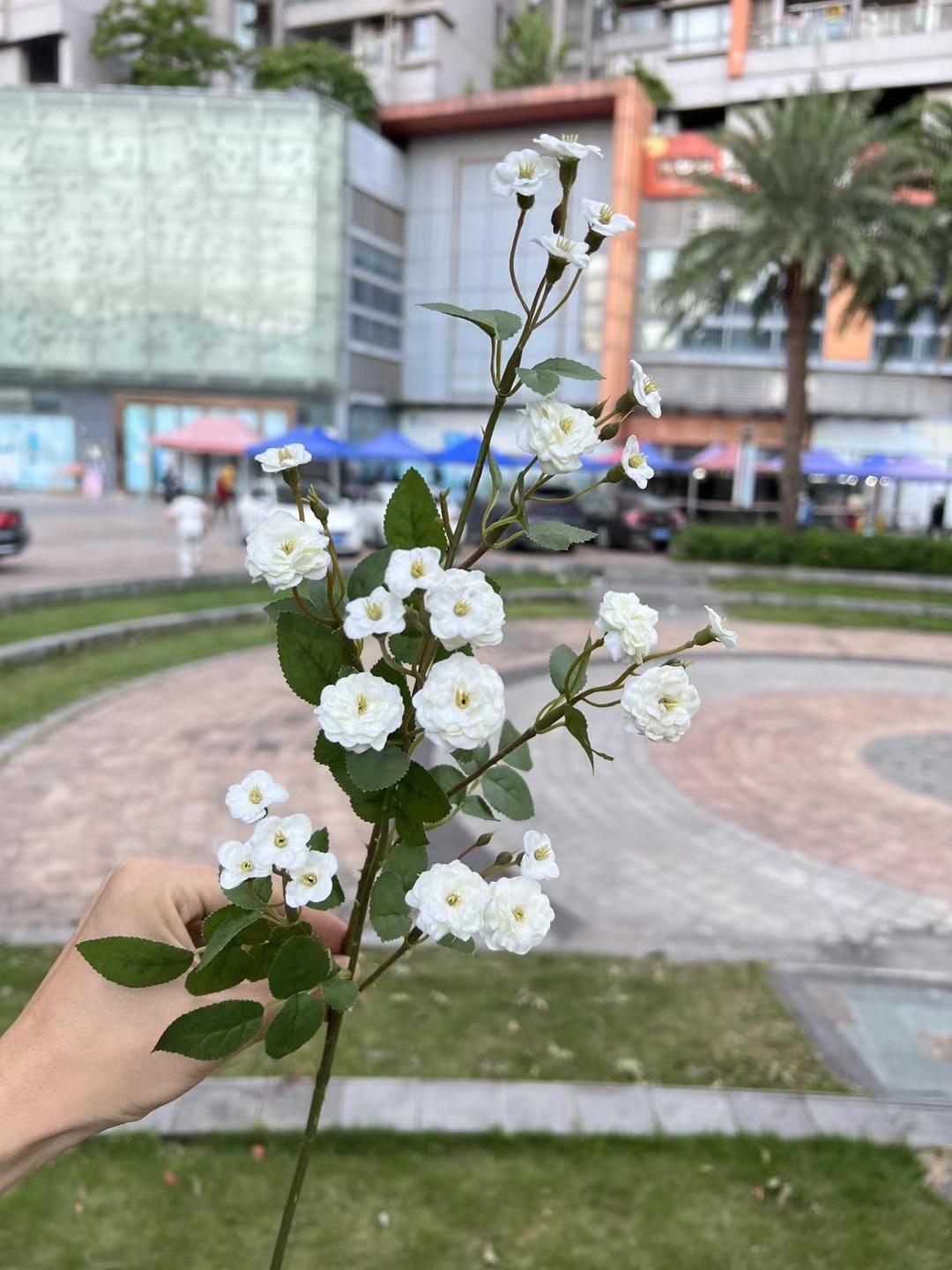 微信图片_20240818143642.jpg