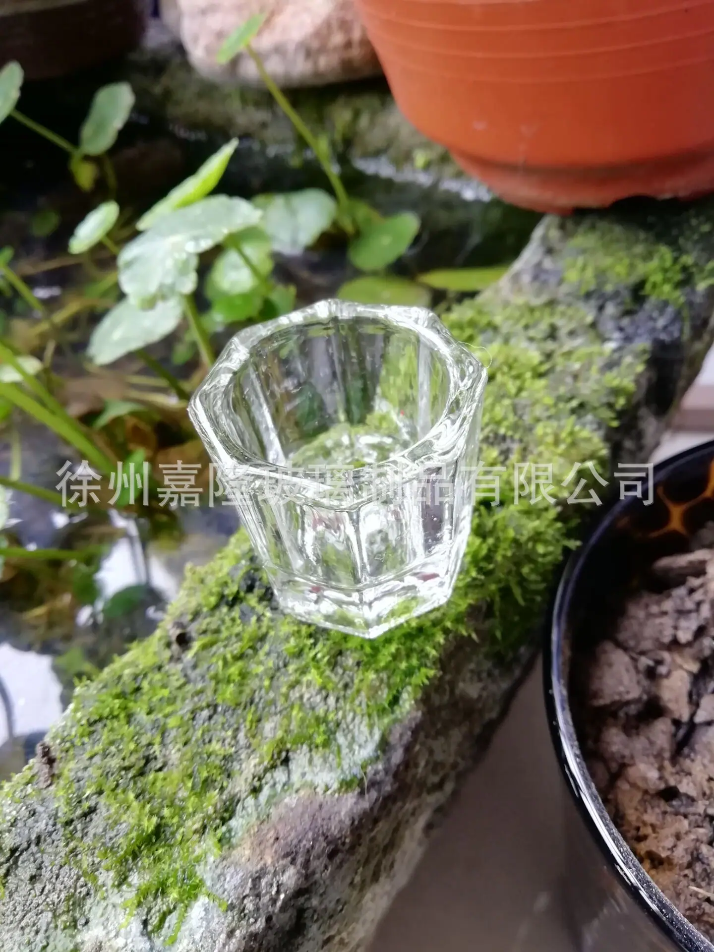 QQ图片20190228092403