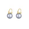 Pendientes de Acero de Titanio Lujo Ligero Pendientes de Concha de Madre Perla Negra Diseño de Nicho Femenino Retro de Gama Alta Estilo Hong Kong Pendientes de Gama Alta