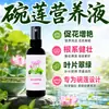 Solução Nutricional Especial para Plantas Hidropônicas de Lírio d'Água Fertilizante para Lírio d'Água Fertilizante para Flor de Lótus Solução Aquosa Fertilizante Líquido Trata Folhas Amarelas Podridão das Raízes