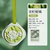 Fragrância de Melaleuca Pendurada no Guarda-Roupa, Enfeite Pendurado para Carro, Pastilhas de Fragrância para Carro, Difusor de Gesso de Gardênia, Aromaterapia para Carro