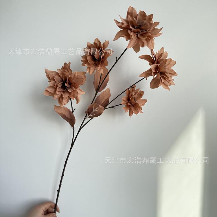 微信图片_202303151643027_副本