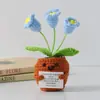 Flor de Tricô de Energia Positiva Transfronteiriça Planta em Vaso Produto Acabado Fio de Lã Flor de Simulação Ornamento de Mesa Boneca de Cartão de Mão